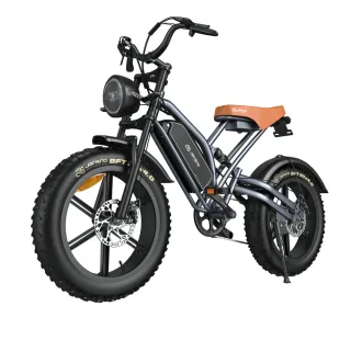 [EU DIRECT] JANSNO X50-17 Electric Bike 48V 17Ah Battery 750W Motor Recommended Top Speed 25KM/H 20inch Tires 60KM Max R