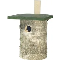 Wildlife Nistkasten CJ Wildlife Nisthöhle Birkenholz grün LxBxH: