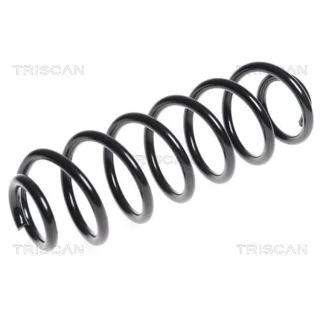 Triscan Feder hinten Skoda Superb VW Golf 875029313
