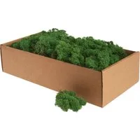 Othmar Decorations Moos XXL Islandmoos, 400 g