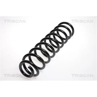 Triscan Feder vorne Mercedes E-Klasse W211 87502383
