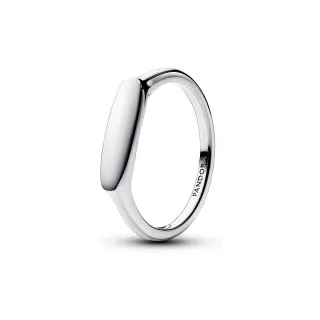 Pandora Damenring Moments 193986C00-54