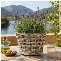Van der Leeden Blumentopf 32x23cm Rattan Weide Sylter Korb Drypot 9L (Stück, 1 St., Packung), Indoor & Outdoor, Rattan, 9 L, Naturprodukt, incl. Kunststoffeimer