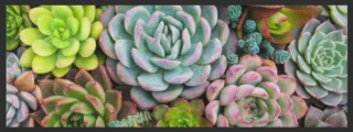 Küchenteppich 4400 | Größe: 75 cm x 120 cm