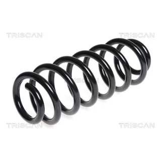 Triscan Feder hinten Seat Altea VW Passat