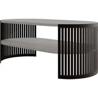 MIRJAN24 Couchtisch Fikoli Oval I (mit Regal), Gestell aus Stahl, 100x50x40 cm