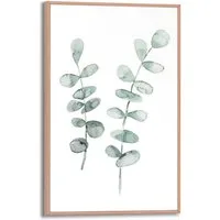 Reinders! Poster Eukalyptus