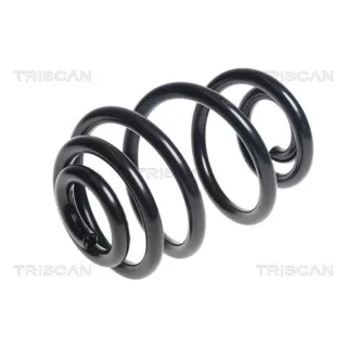 Triscan Feder hinten Skoda Octavia VW Golf 875029214
