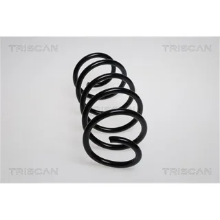 Triscan Feder vorne Skoda Superb VW Cc Passat 875029212
