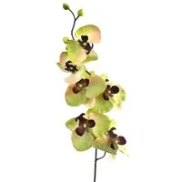 Kunstorchidee Kunstblume, ORCHIDEENZWEIG, Orchidee 78cm, Gasper, Höhe 78.00 cm