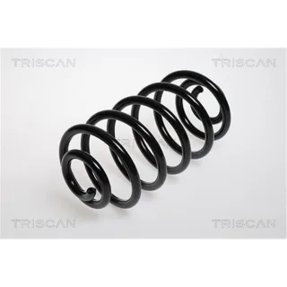 Triscan Feder hinten Opel Combo