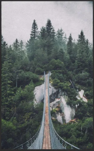 Fussmatte 7515 | Größe: 60 cm x 90 cm