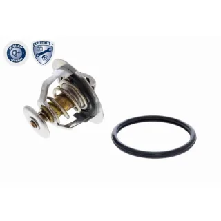 Ackoja Thermostat + Dichtung Hyundai Kia Toyota