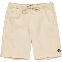 Billabong Bermudas Larry 20"