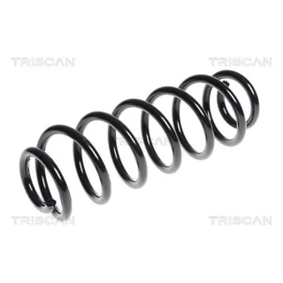 Triscan Feder hinten Skoda Octavia VW Golf Jetta 875029311