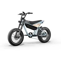 DOTMALL E-Bike Mountainbike Himiway C5 Elektro Fahrrad 48V 20Ah,Drehmoment-/Geschwindigkeitssensor