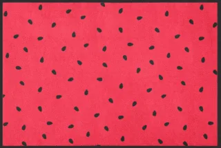 Fussmatte 4722 | Größe: 60 cm x 45 cm