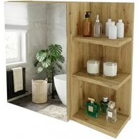 TREND WERK Spiegelschrank Badezimmer mit Ablage & Stauraum (59×16×50 cm Hängender Badezimmerschrank zur Wandmontage mit Regal) – modern & pflegeleicht
