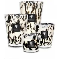 Baobab Duftkerze Baobab Duftkerze Max One Pearls Black