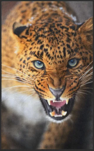 Fussmatte Leopard 7133 | Größe: 60 cm x 90 cm