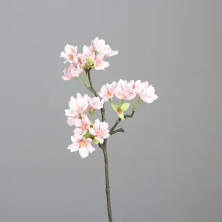 40 cm