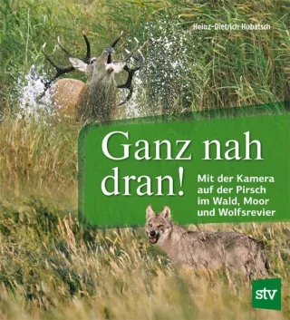 Ganz nah dran!: Mit der Kamera auf Pirsch im Wald und Wolfsrevier