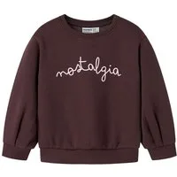 Name It Sweatshirt NMFOVI LS NREG SWE BRU BF
