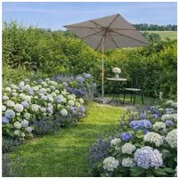 Sekey Sonnenschirm 200 x 150cm Holz Sonnenschirm Rechteckig Gartenschirm, UV Schutz 50+, LxB: 200,00x150,00 cm, Terrassenschirm Knickbar Balkonschirm