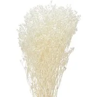 Florists Products Bastelnaturmaterial Schleierkraut Creme Weiß Trockenblumen Deko 65-70cm