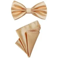 DonDon Fliege DonDon Herren Fliege und Einstecktuch (Packung, 2-St., 1x Fliege und 1x Einstecktuch) bereits gebunden, Seidenlook, 2er Set