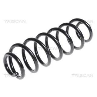 Triscan Feder hinten Peugeot 3008 1,6