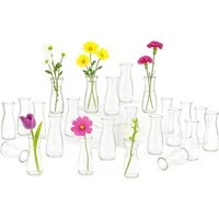 Youyijia Bodenvase 12/24er- Set Kleine Vasen für die Tischdekoration –kleine Glasvasen (24 St)