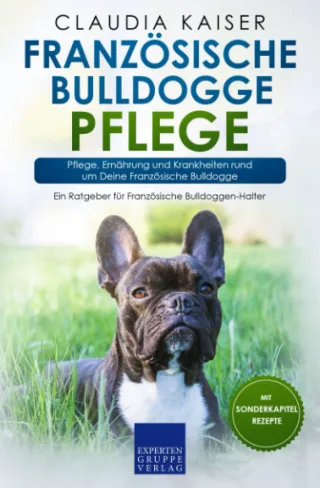 Französische Bulldogge Pflege: Pflege Ernährung und Krankheiten rund um Deine Französische Bulldogge