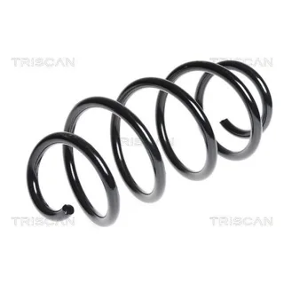 Triscan Feder vorne Audi A3 VW Passat
