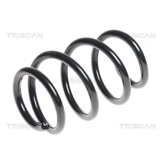 Triscan Feder vorne Audi A3 8P 875029264