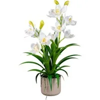 Kunstorchidee Orchidee Cymbidie Orchidee, Creativ green, Höhe 58 cm, mit traumhaft schönen Blüten