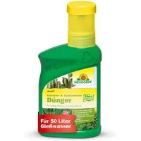 Neudorff Rasendünger Bio - Azet Kakteen- & SukkulentenDünger 250 ml für 50L Gießwasser, 100 % organisch und vegan - Bio Dünger für kräftig grüne Kakteen, mit beeindruckenden Blüten, mit praktischem Dosierbecher
