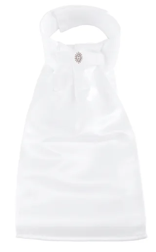 Plastron