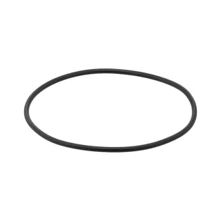 Elring Dichtung f?r Wasserpumpe Chevrolet Daewoo Opel