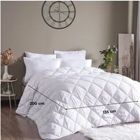 gowoll 4-Jahreszeitenbett Bettdecke Ganzjahresdecke, 300 gsm Warme Bettdecke, Füllung: 100 % Mikrofaser-Füllung, Antibakterielle Decke und Waschmaschinengeeignet