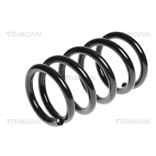 Triscan Feder hinten Kia Carnival 3