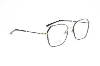 Ana Hickmann Brillenfassung HI1246T 09A 54 Titan