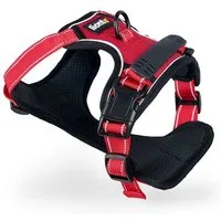 lionto Hunde-Geschirr Anti-Zug, reflektierend & gepolstert, robustes Oxford-Gewebe, verstellbares Y-Geschirr mit Brustring
