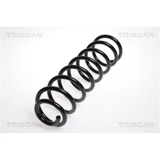 Triscan Feder vorne Mercedes E-Klasse W211 87502387