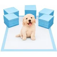 R2 Invest Hundewindel Hundetrainingspads 45 x 60 cm 50 Stück Hygienematten für Welpen