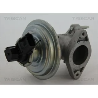 Triscan AGR-Ventil Ford Mondeo Transit 2,0 881316043