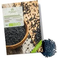 Growgreens Kräutersamen BIO Schwarzkümmelsamen - Kräuter Saatgut aus bio. Anbau (150 Korn)