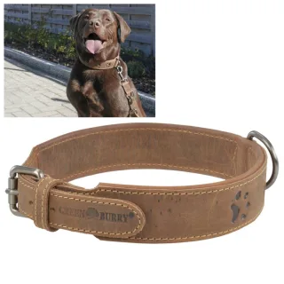 Robustes Hunde-Halsband für mittelgroße Hunde aus Leder in antikbraun | Greenburry. Komfortable Führung für den perfekt strukturierten Alltag.