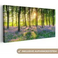 OneMillionCanvasses® Leinwandbild Panorama Frühling - Wald - Sonne, Fotodruck (1 St), Wandbild, Deko Schlafzimmer Wohnzimmer Flur 40x20 cm