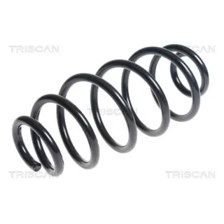 Triscan Feder hinten Fiat Doblo Opel Combo 875015203